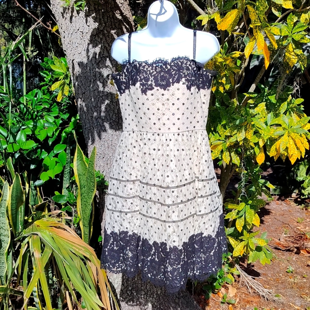 Betsey Johnson brand new lace polka dot sundress size 12